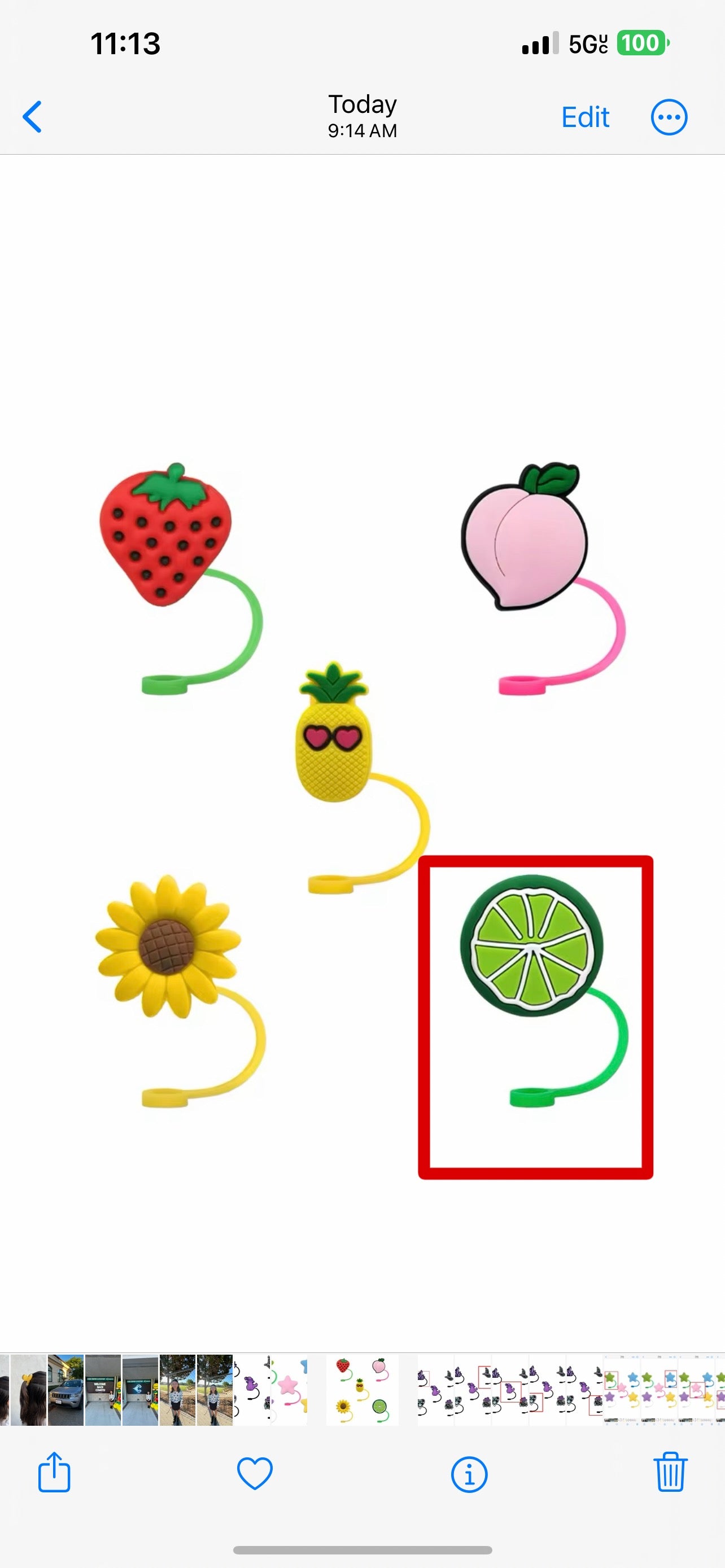 Fruit Shaped Straw Toppers | Birthday Party Decorations | Reusable Drink Accessories