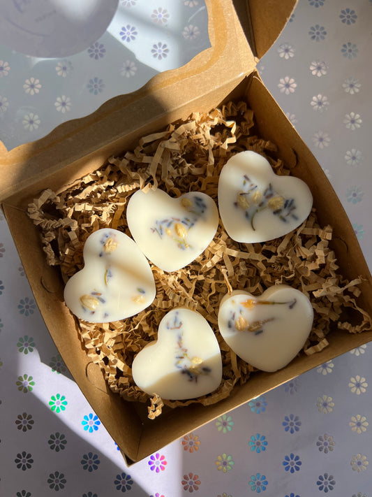 Enchanted Kiss Handmade Soy Wax Melts | Long-Lasting Scented Wax Melts | Gift Ready Home Fragrance