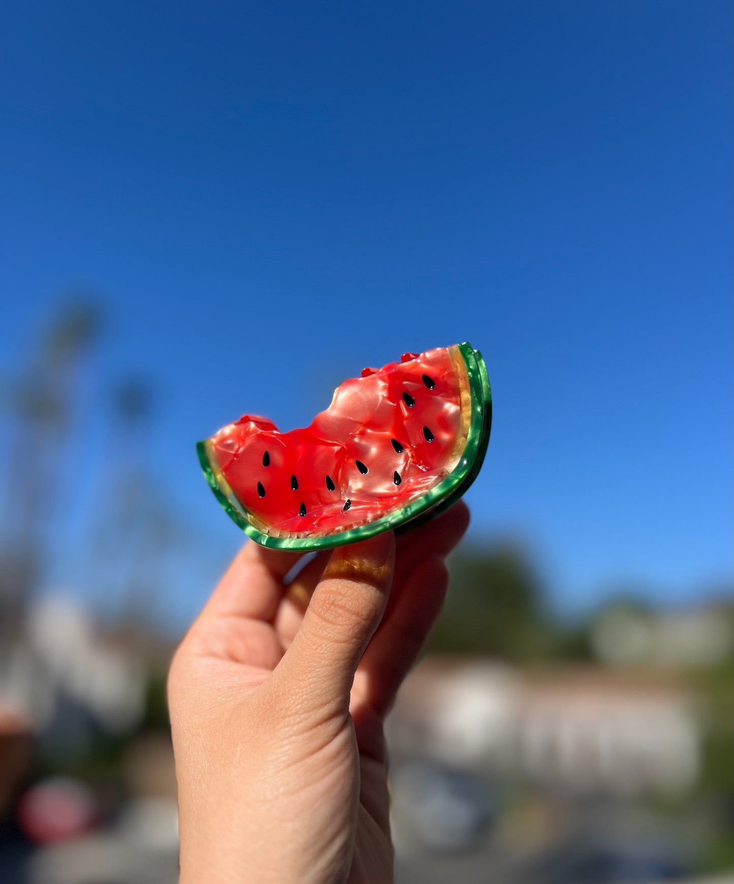 'Ripe and Ready' Watermelon Hair Clip