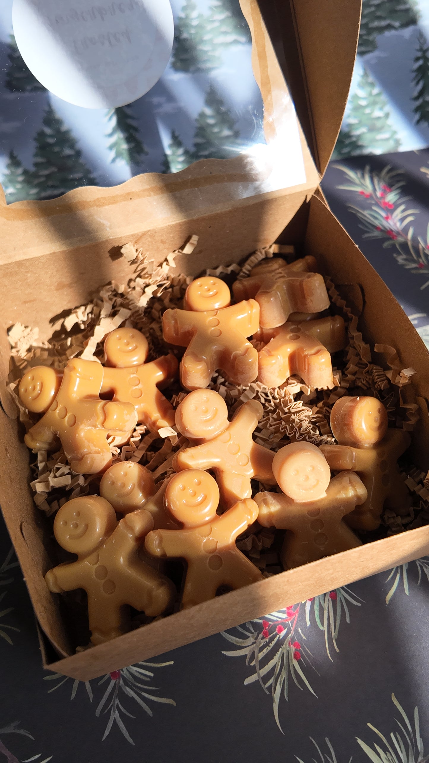 Handmade Soy Wax Melts | Frosted Gingerbread  | Long-Lasting Scented Wax Melts | Gift Ready Home Fragrance