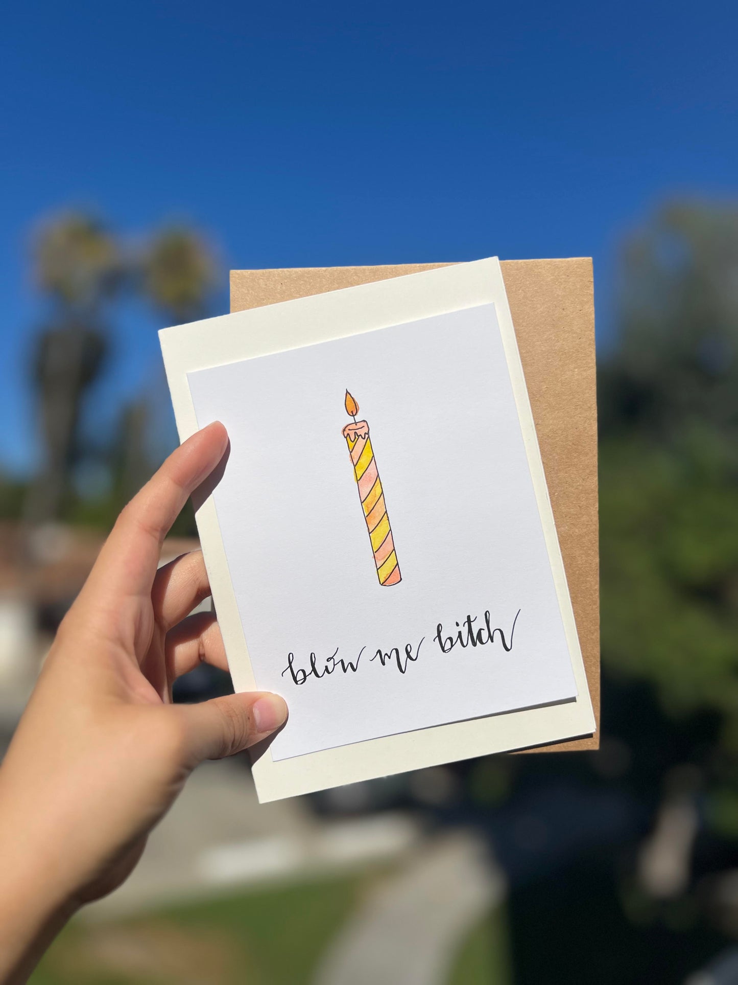 'Blow Me B****' Funny Adult Birthday Card