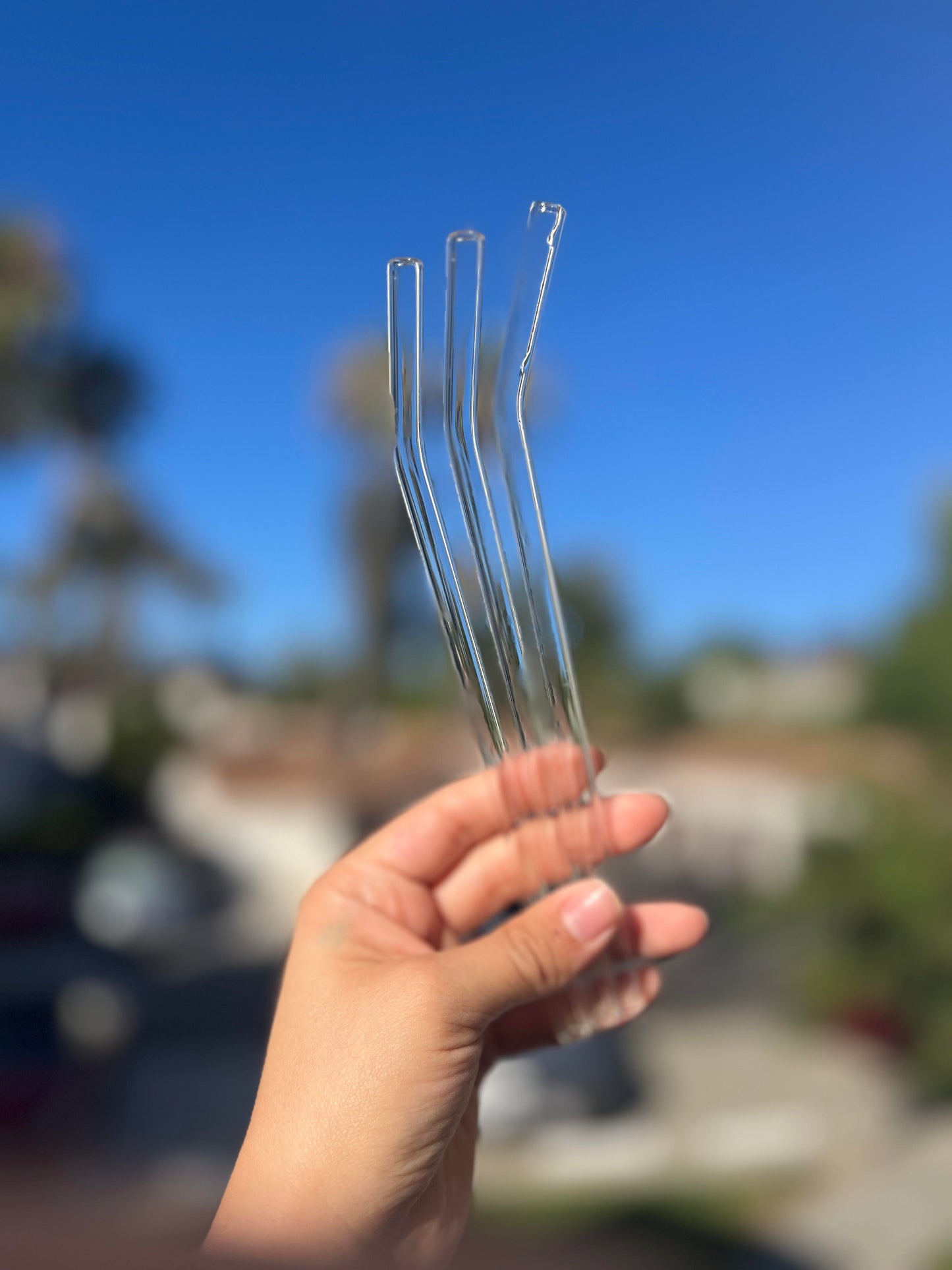 Glass Straws (2)