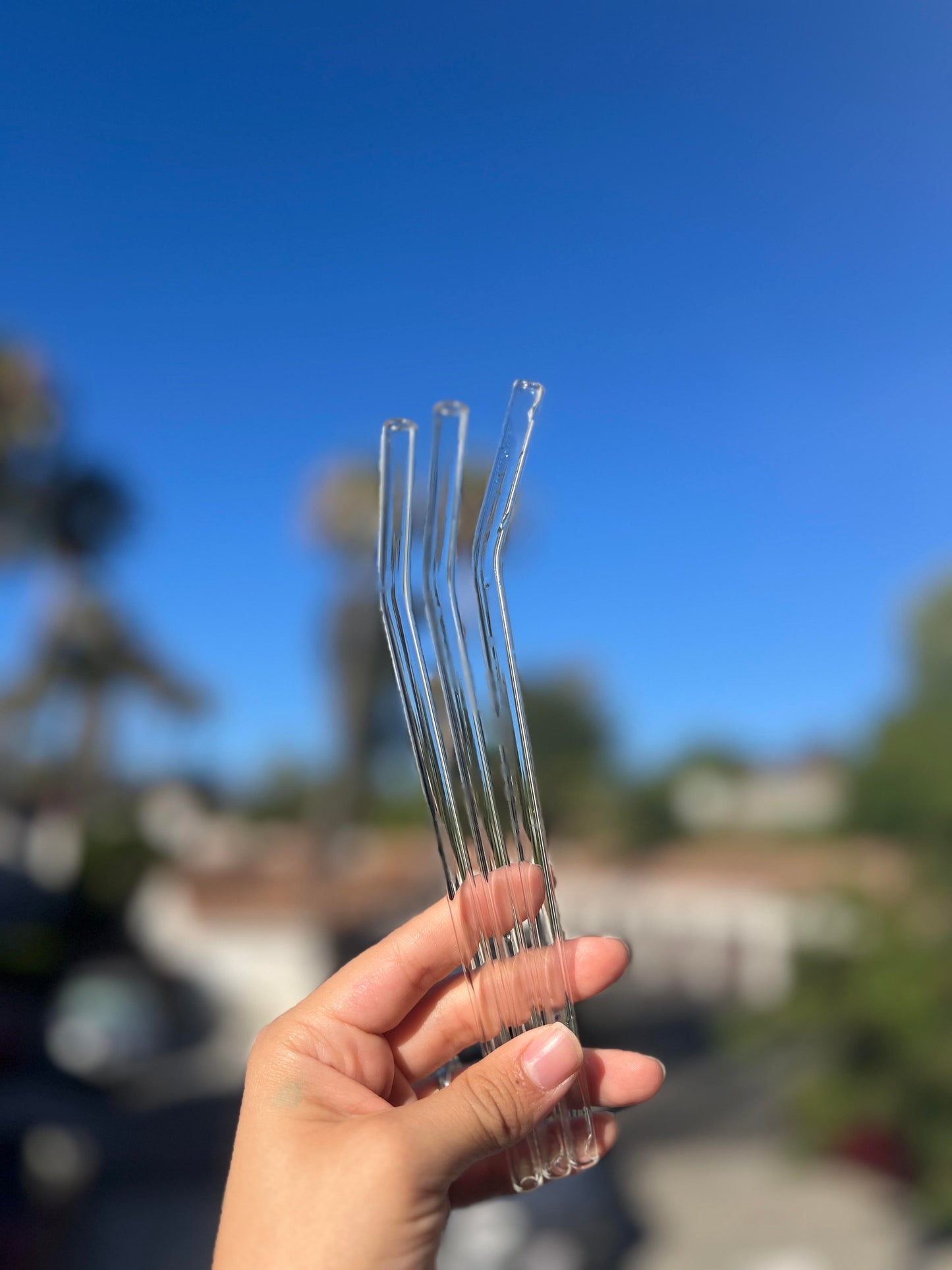 Glass Straws (2)